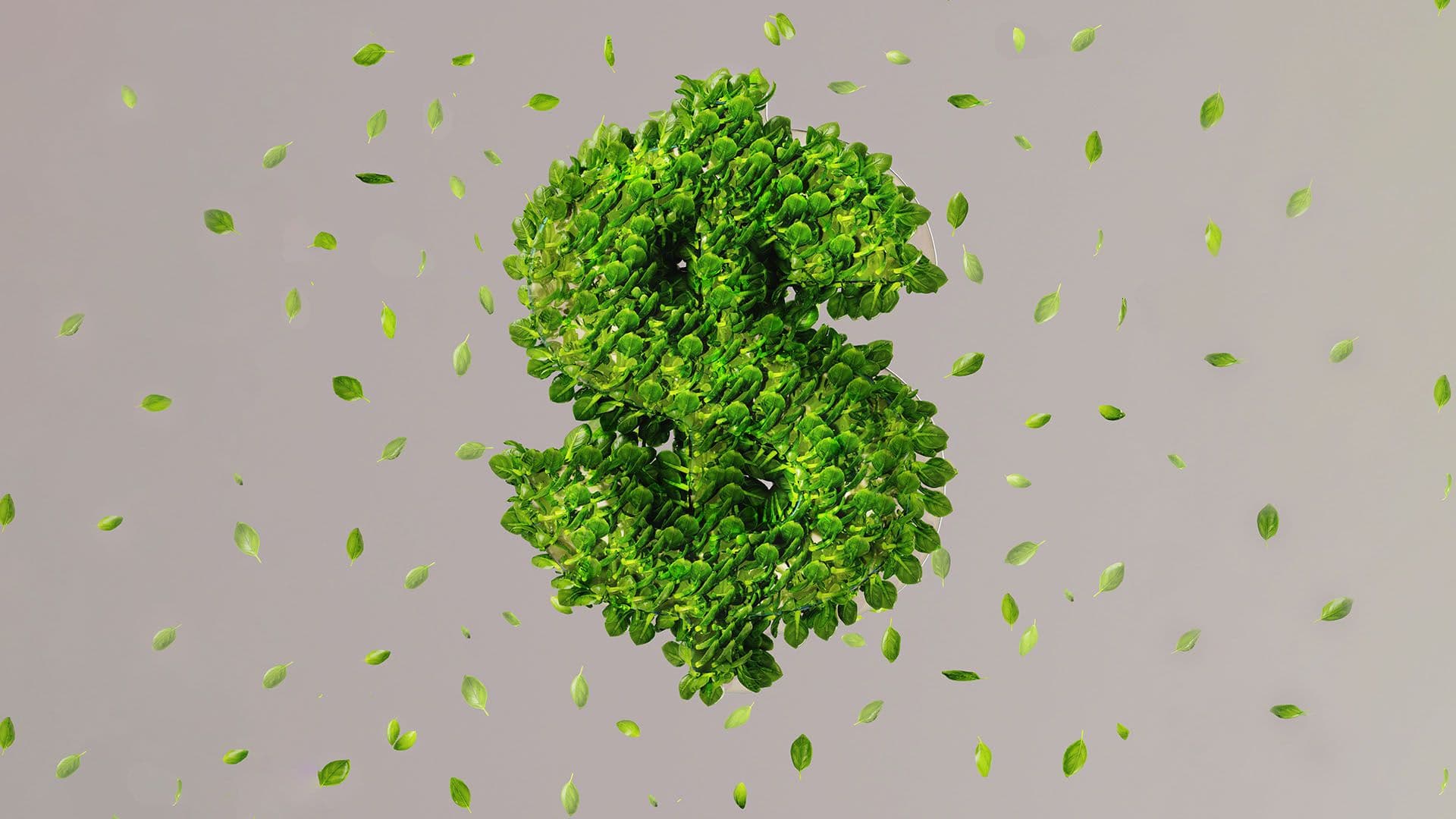En $-symbol täckt i blad 