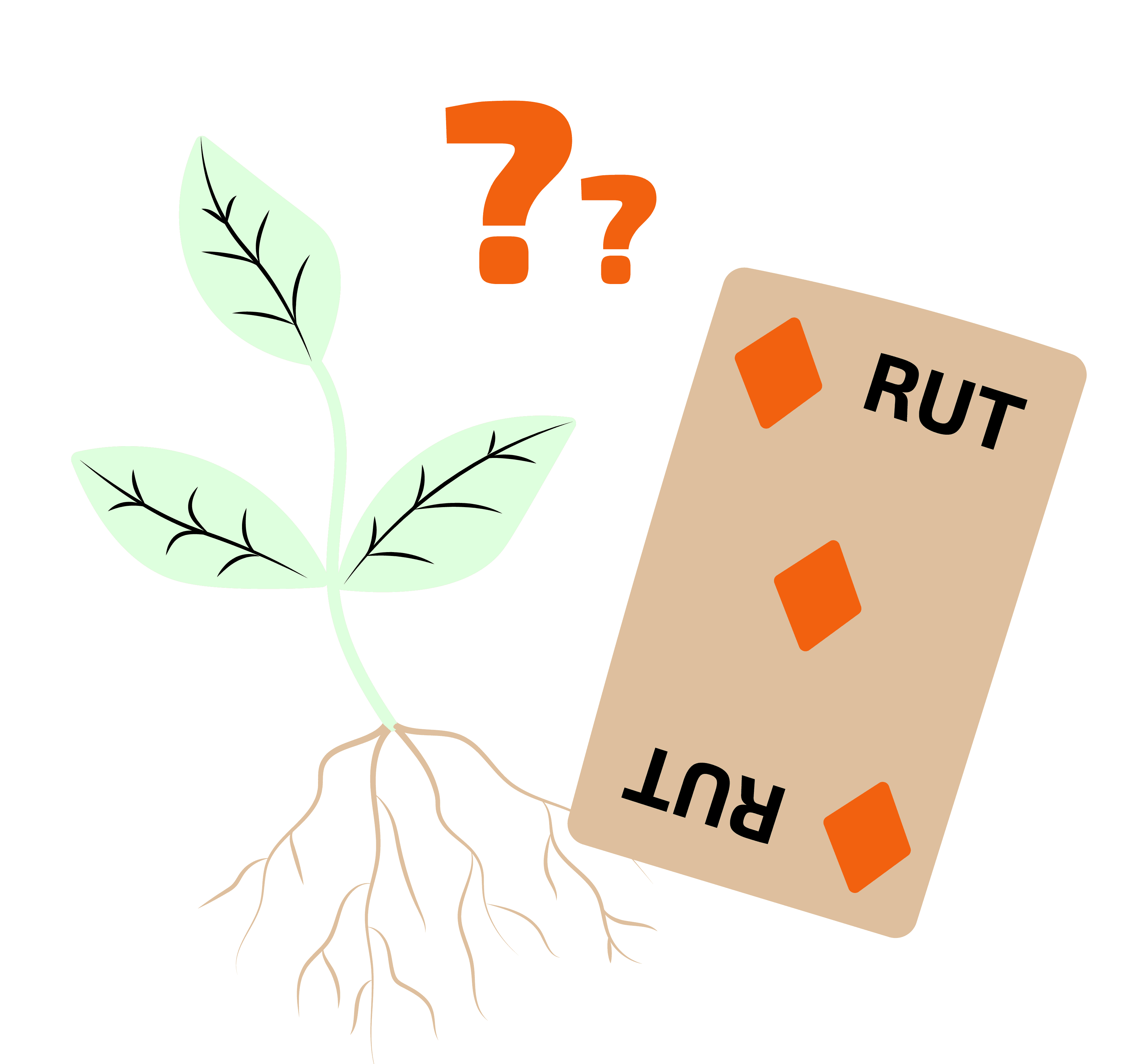 Rot och rut