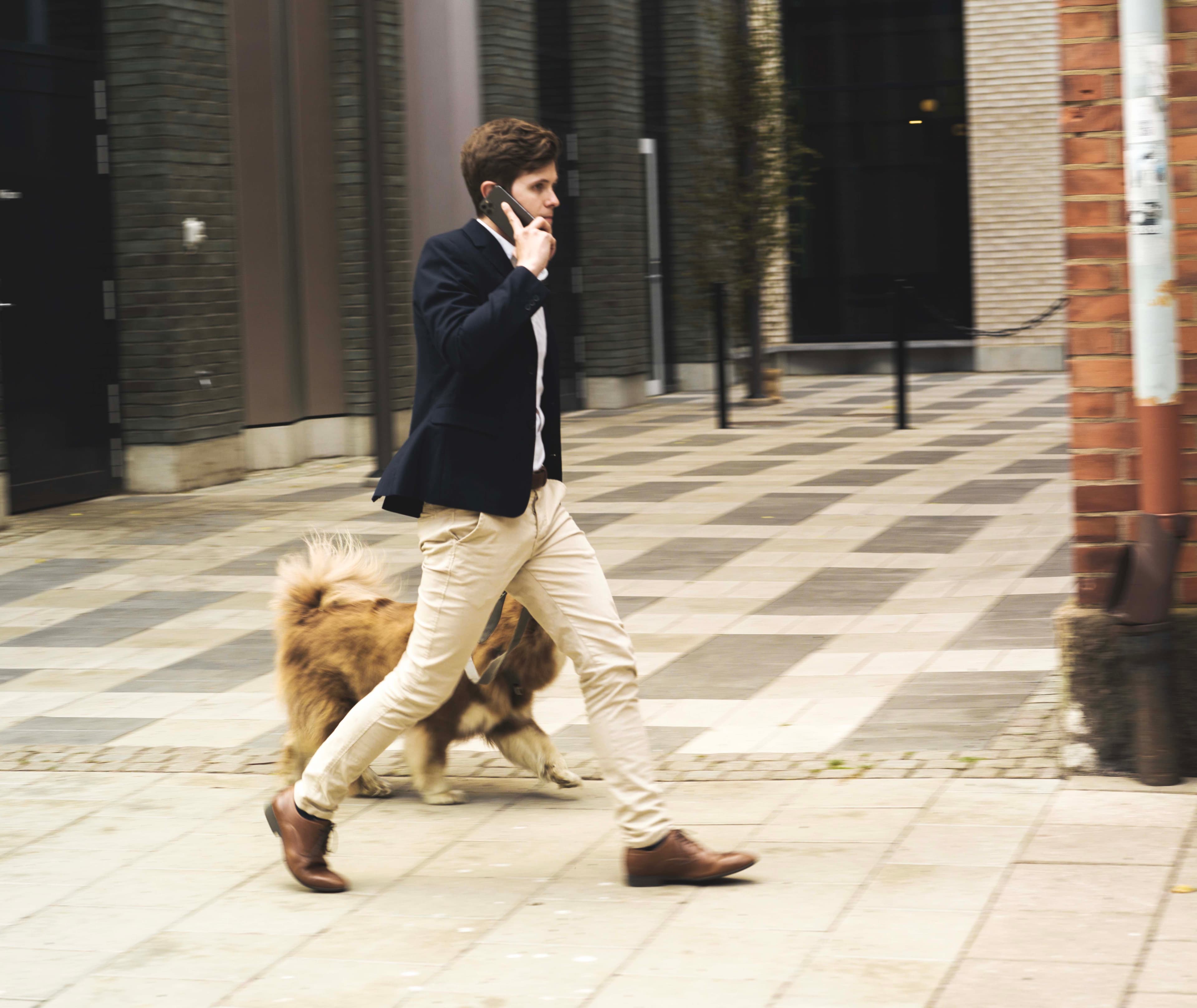 Man walking a large fluffy dog on a city sidewalk while talking on a smartphone, wearing a dark blazer and beige pants.