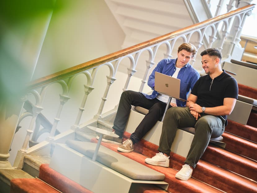 Developer - Sommarjobb