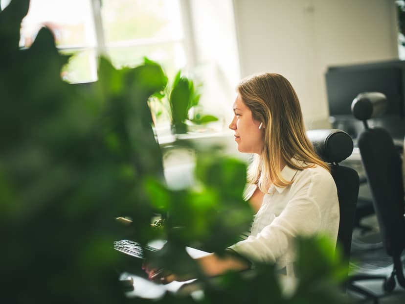 Development Manager & Tech Lead